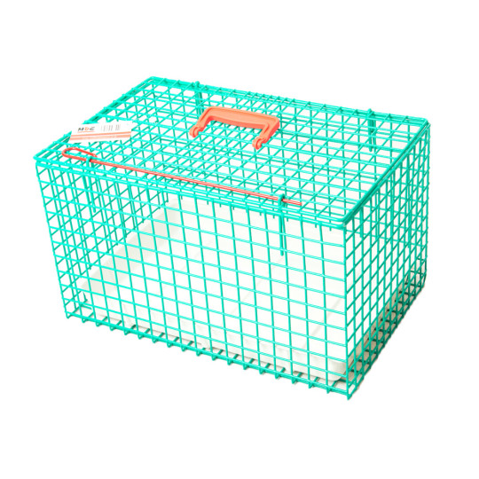 Pet Carrier for Dogs and Cats